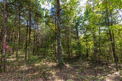 Heritage Bend Tract 40