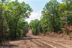 Heritage Bend Tract 40