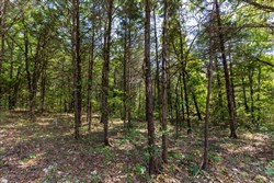 Heritage Bend Tract 40