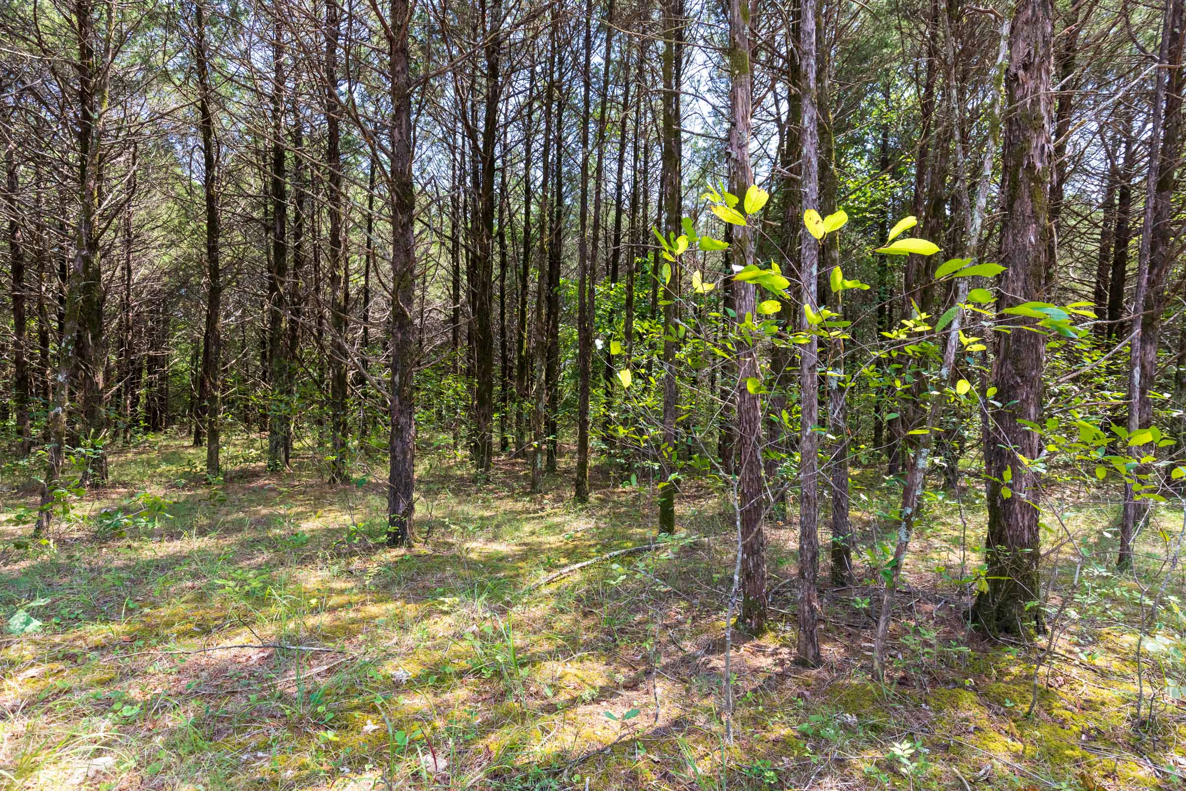 Tract 41 at Heritage Bend in Taney County, Missouri