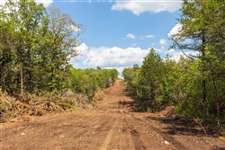 property photo for Heritage Bend Tract 41, 10.04 acres for sale in Taney County, Missouri