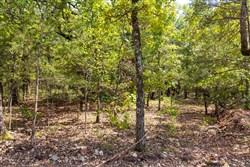 property photo for Heritage Bend Tract 41, 10.04 acres for sale in Taney County, Missouri