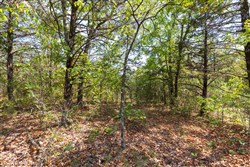 property photo for Heritage Bend Tract 41, 10.04 acres for sale in Taney County, Missouri