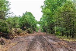 property photo for Heritage Bend Tract 42, 12.93 acres for sale in Taney County, Missouri