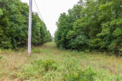 property photo for Heritage Bend Tract 42, 12.93 acres for sale in Taney County, Missouri