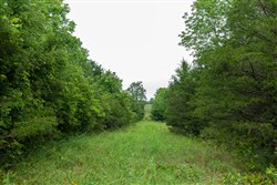 property photo for Heritage Bend Tract 42, 12.93 acres for sale in Taney County, Missouri