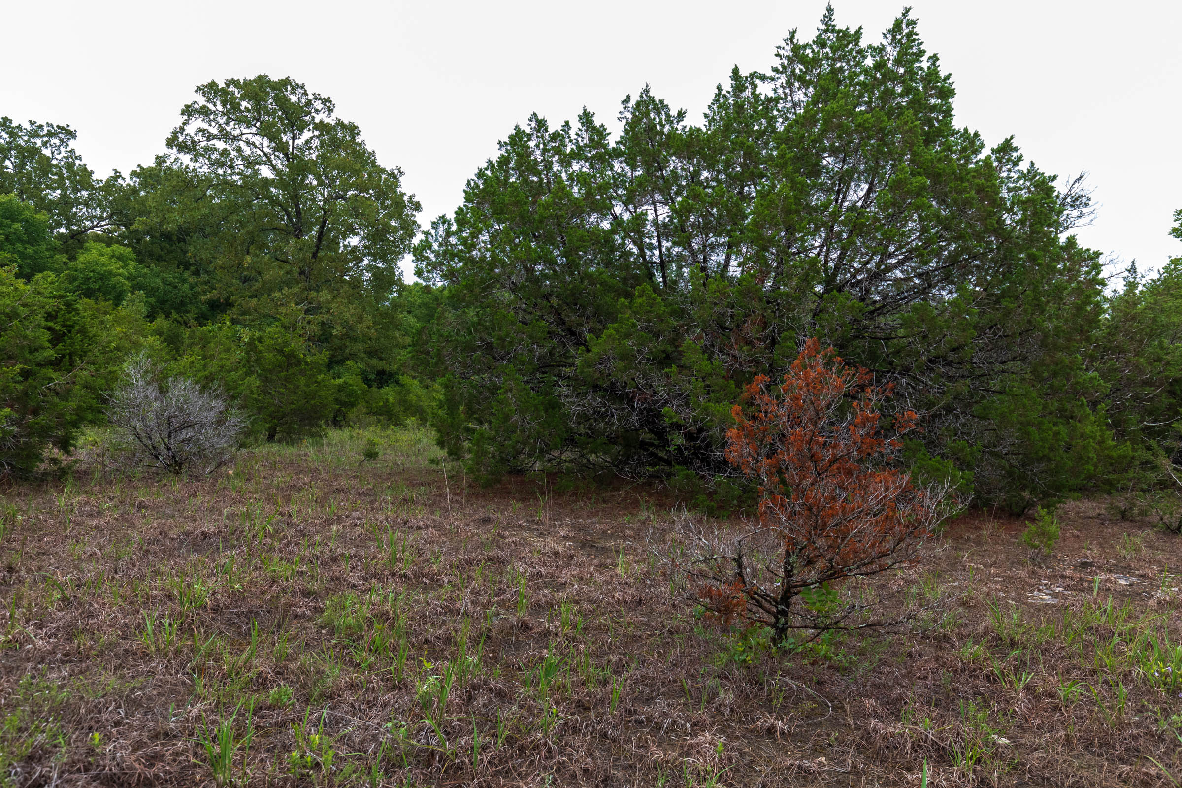 Tract 43 at Heritage Bend in Taney County, Missouri