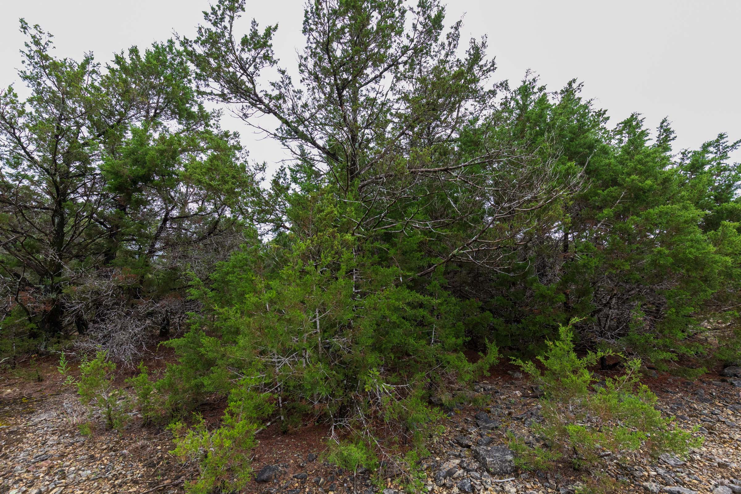 Tract 44 at Heritage Bend in Taney County, Missouri