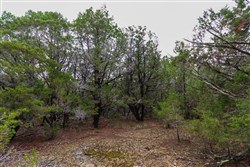 property photo for Heritage Bend Tract 44, 10.19 acres for sale in Taney County, Missouri