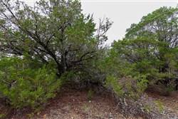 property photo for Heritage Bend Tract 44, 10.19 acres for sale in Taney County, Missouri