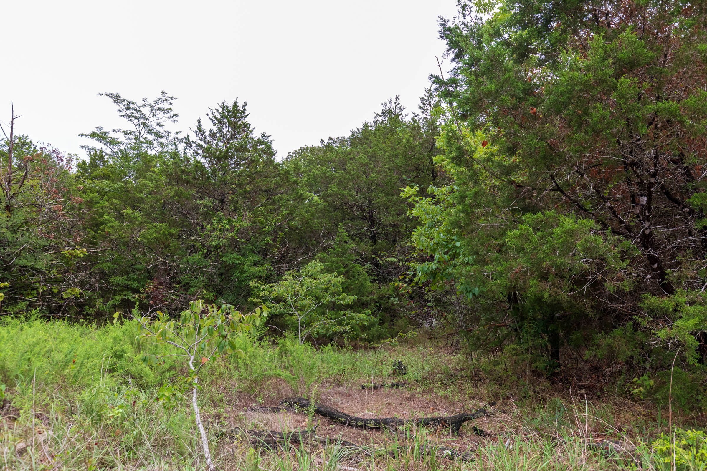 Tract 45 at Heritage Bend in Taney County, Missouri