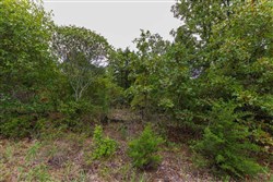 property photo for Heritage Bend Tract 45, 11.71 acres for sale in Taney County, Missouri