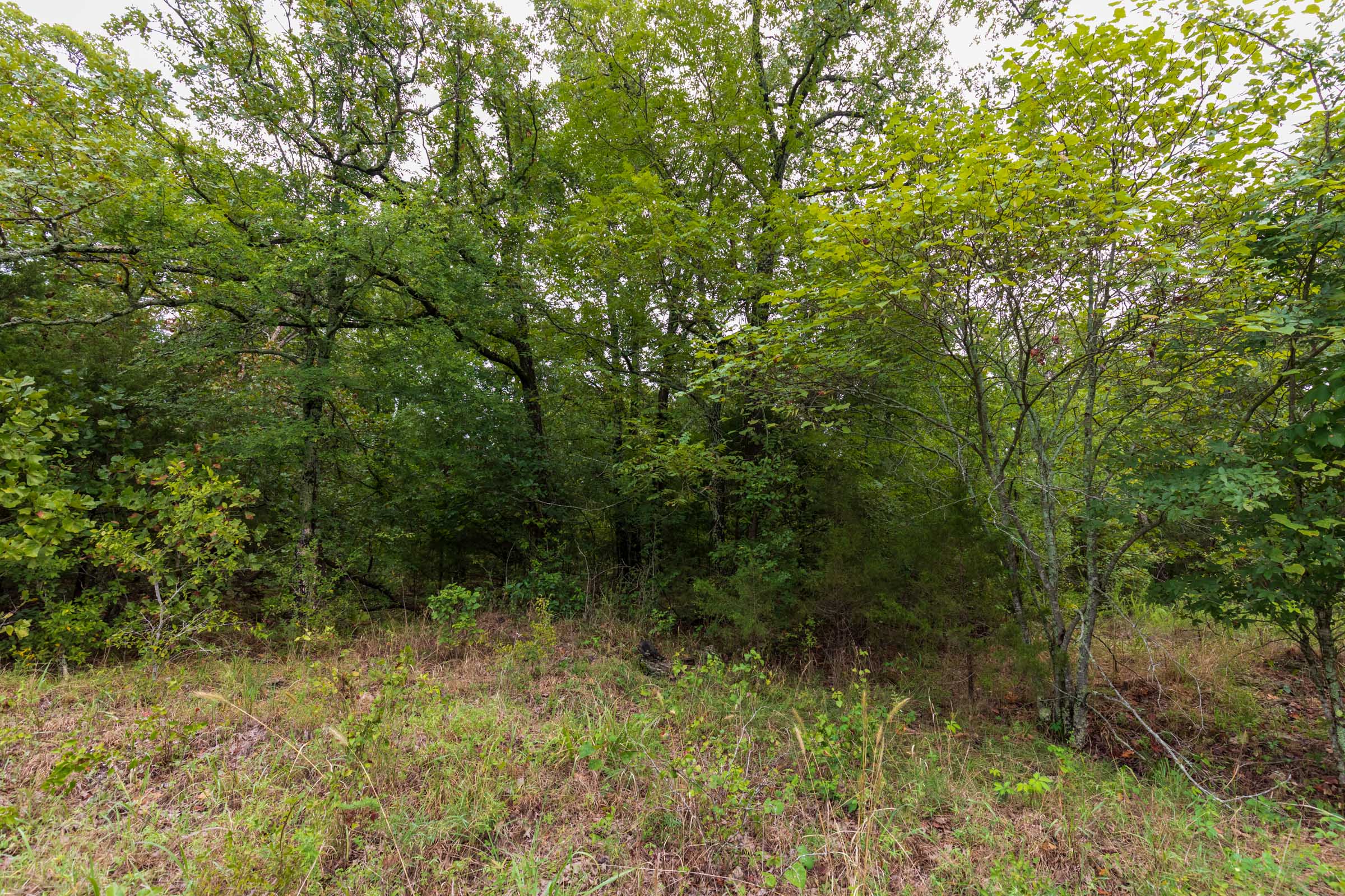 Tract 46 at Heritage Bend in Taney County, Missouri