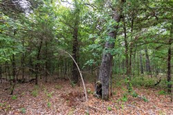 property photo for Heritage Bend Tract 46, 10.07 acres for sale in Taney County, Missouri