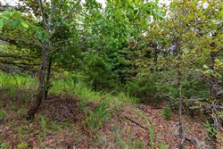 property photo for Heritage Bend Tract 46, 10.07 acres for sale in Taney County, Missouri