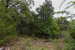 property photo for Heritage Bend Tract 46, 10.07 acres for sale in Taney County, Missouri