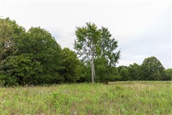 property photo for Heritage Bend Tract 47, 10.59 acres for sale in Taney County, Missouri