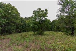 property photo for Heritage Bend Tract 47, 10.59 acres for sale in Taney County, Missouri