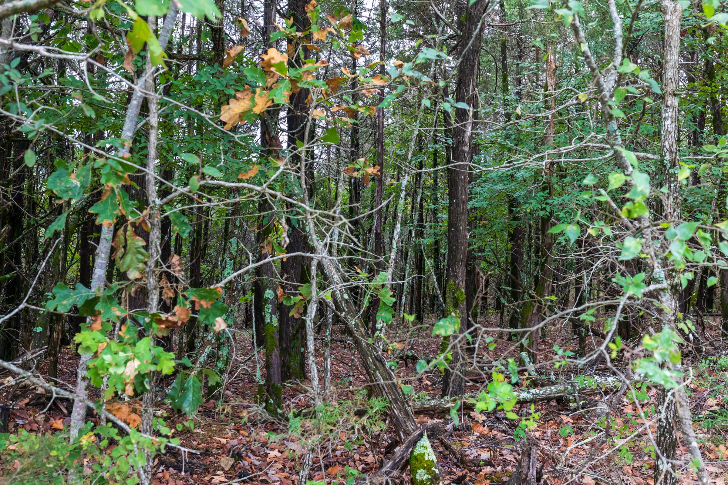 Tract 5 at Heritage Bend in Taney County, Missouri