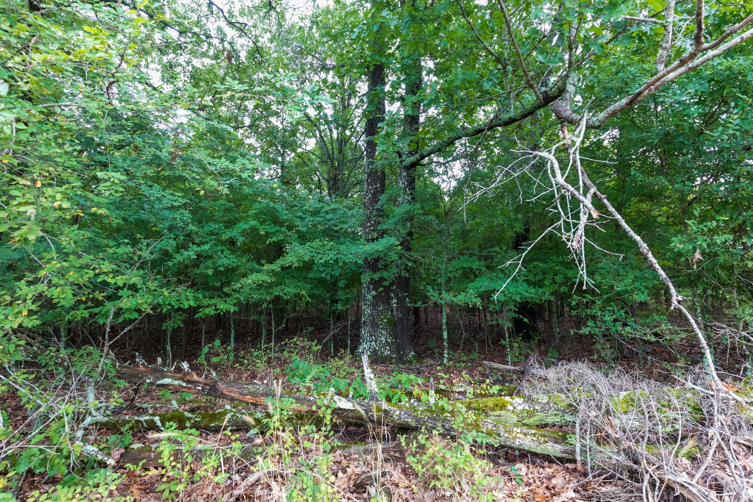 Tract 6 at Heritage Bend in Taney County, Missouri