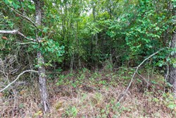 property photo for Heritage Bend Tract 6, 10 acres for sale in Taney County, Missouri