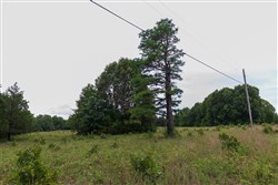 property photo for Heritage Bend Tract 6, 10 acres for sale in Taney County, Missouri