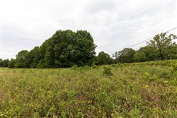 property photo for Heritage Bend Tract 7, 10.04 acres for sale in Taney County, Missouri