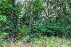 property photo for Heritage Bend Tract 7, 10.04 acres for sale in Taney County, Missouri