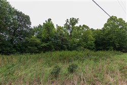property photo for Heritage Bend Tract 7, 10.04 acres for sale in Taney County, Missouri