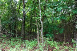 property photo for Heritage Bend Tract 7, 10.04 acres for sale in Taney County, Missouri