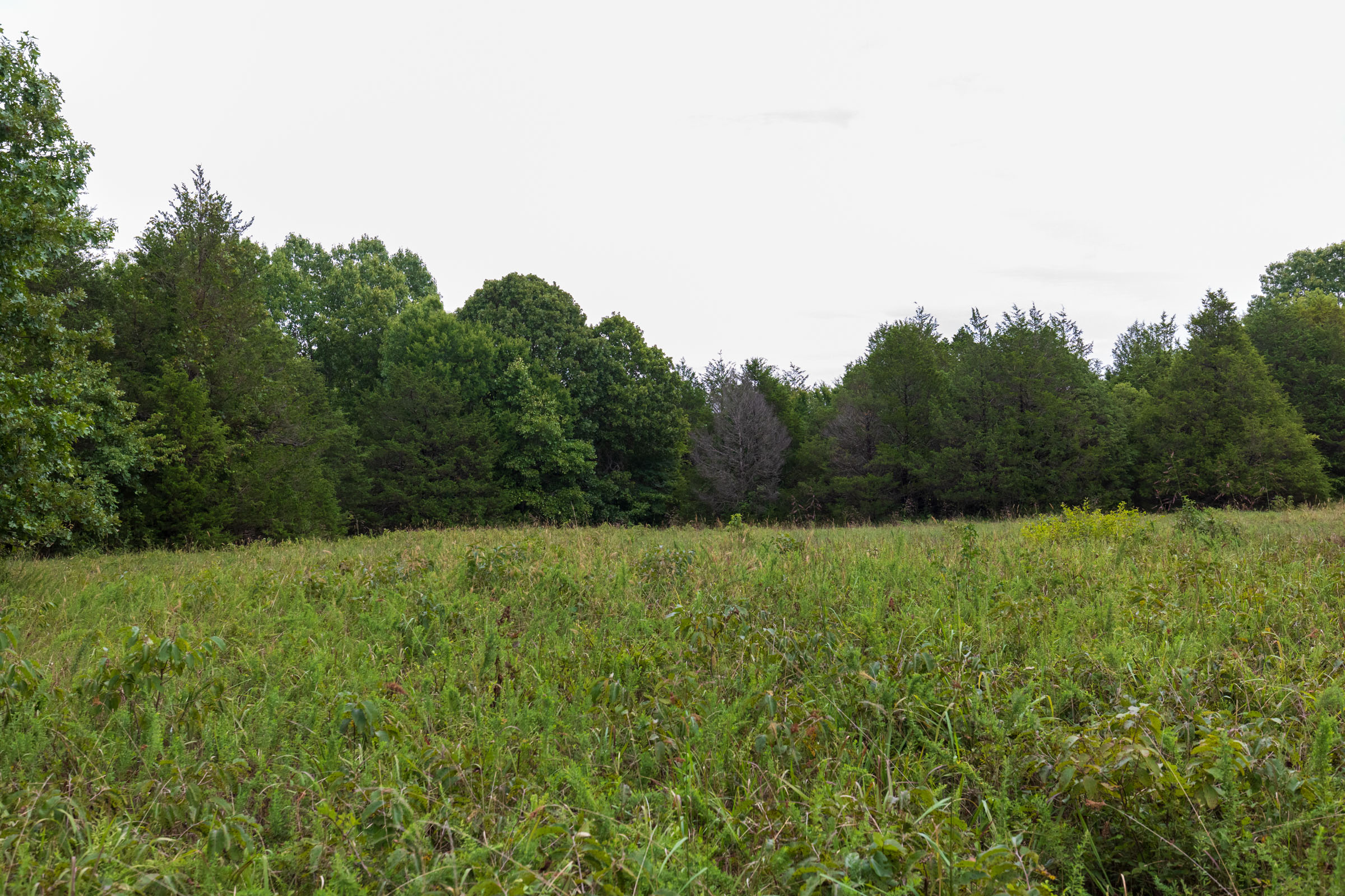 Tract 8 at Heritage Bend in Taney County, Missouri