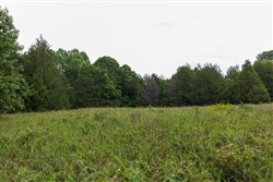 property photo for Heritage Bend Tract 8, 10.3 acres for sale in Taney County, Missouri