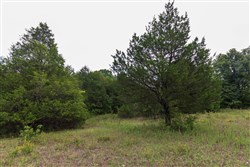 property photo for Heritage Bend Tract 8, 10.3 acres for sale in Taney County, Missouri