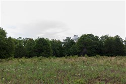 property photo for Heritage Bend Tract 8, 10.3 acres for sale in Taney County, Missouri