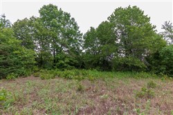 property photo for Heritage Bend Tract 8, 10.3 acres for sale in Taney County, Missouri