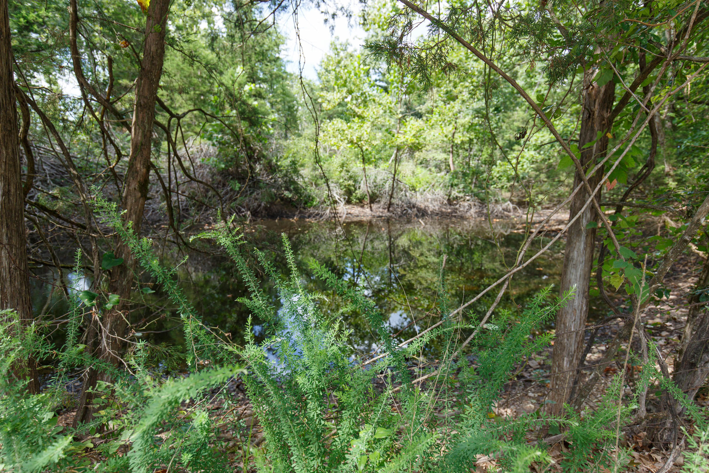 Tract 1 at Wild Wood in Taney County, Missouri