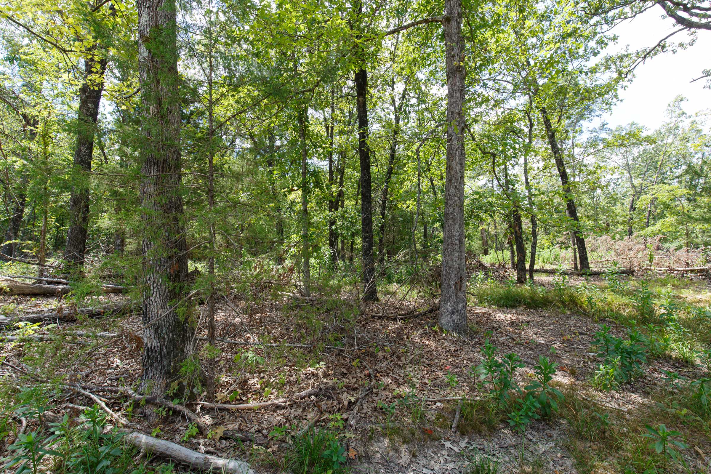 Tract 10 at Wild Wood in Taney County, Missouri