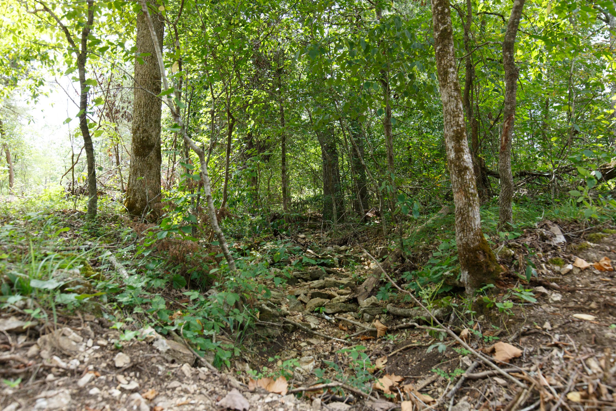 Tract 13 at Wild Wood in Taney County, Missouri