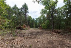 property photo for Wild Wood Tract 18, 10.02 acres for sale in Taney County, Missouri