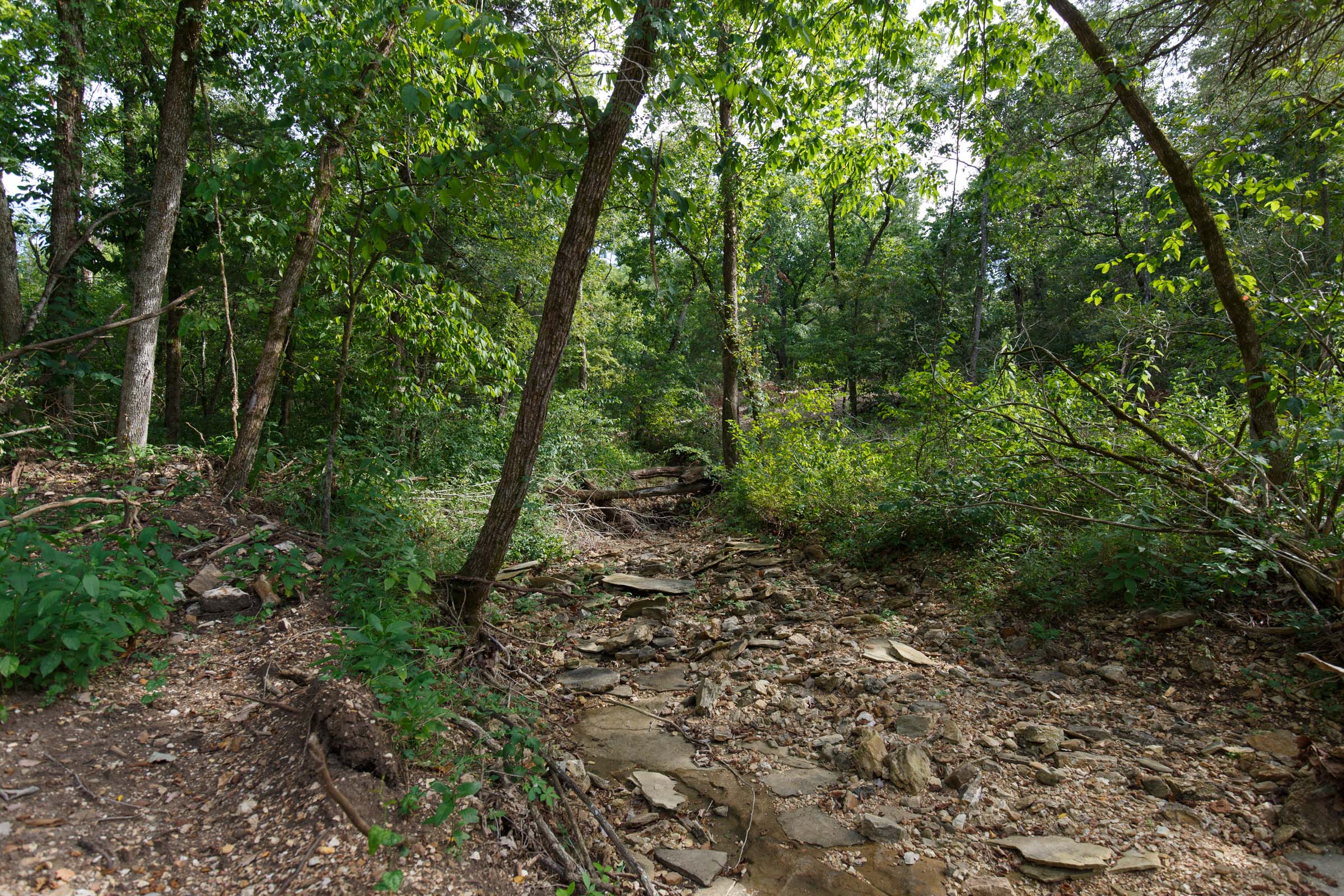 Tract 19 at Wild Wood in Taney County, Missouri