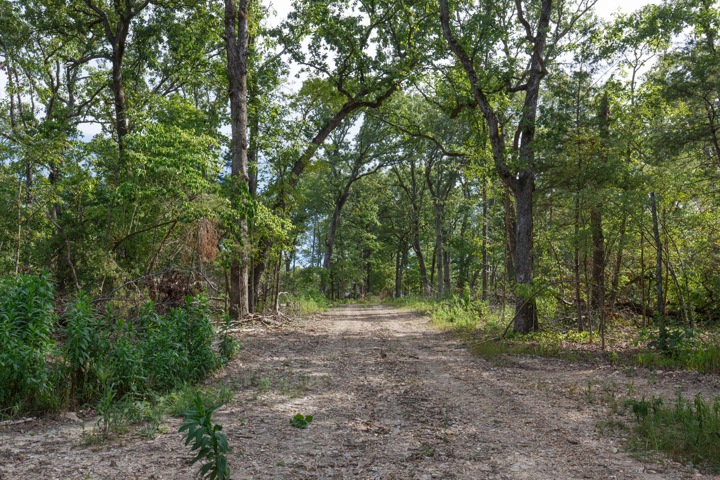 Tract 23 at Wild Wood in Taney County, Missouri