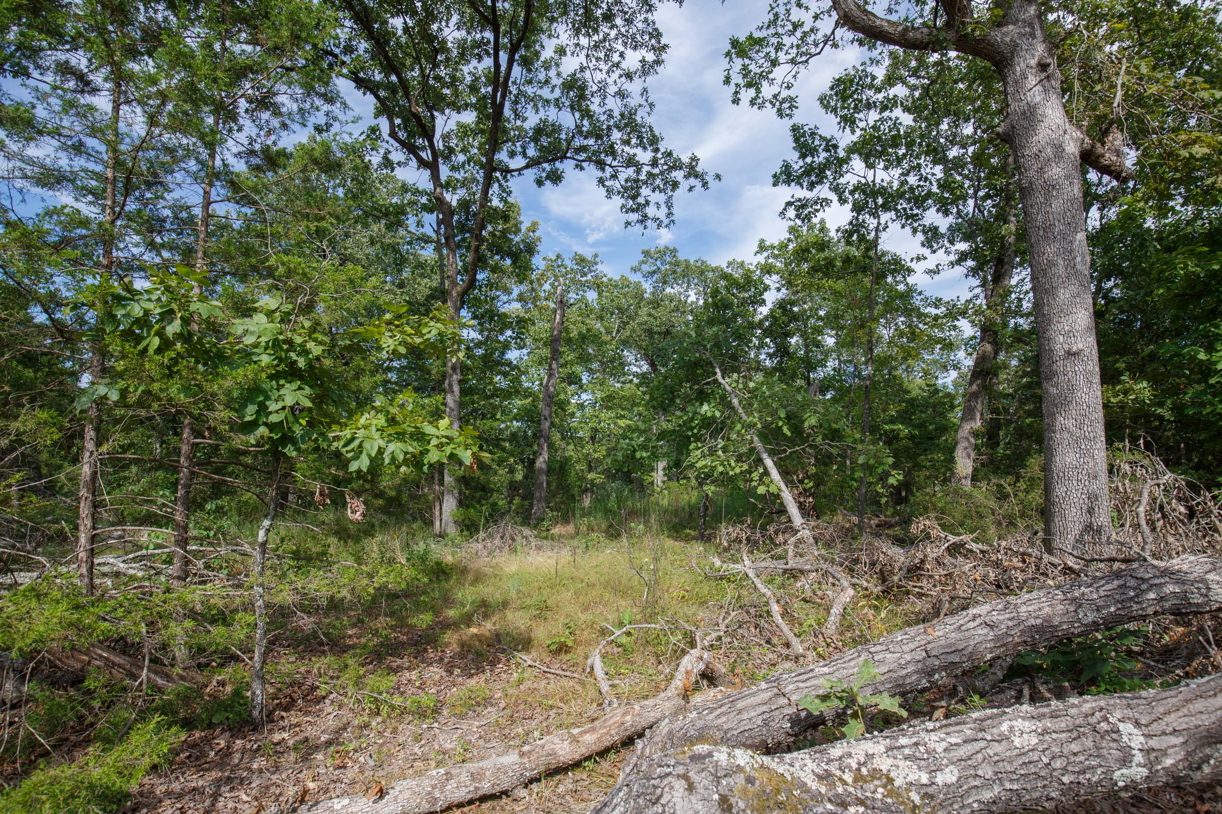 Tract 24 at Wild Wood in Taney County, Missouri