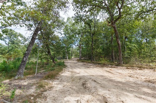 Wild Wood Tract 25