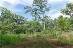 Wild Wood Tract 25