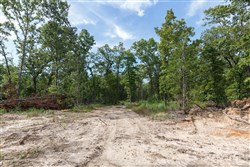 Wild Wood Tract 25