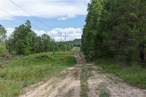 Wild Wood Tract 26