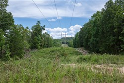 Wild Wood Tract 26
