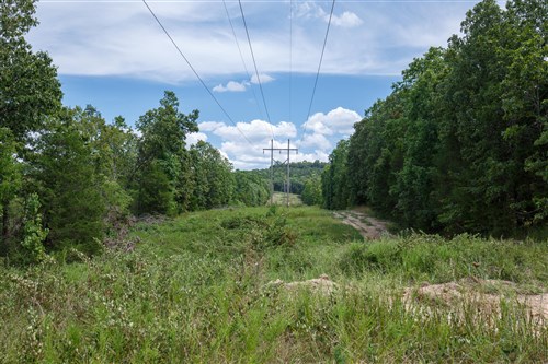 Wild Wood Tract 26