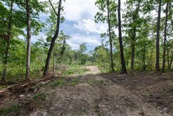 property photo for Wild Wood Tract 27, 10.48 acres for sale in Taney County, Missouri