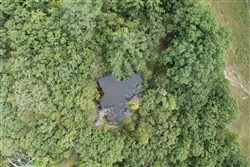 property photo for Wild Wood Tract 27, 10.48 acres for sale in Taney County, Missouri